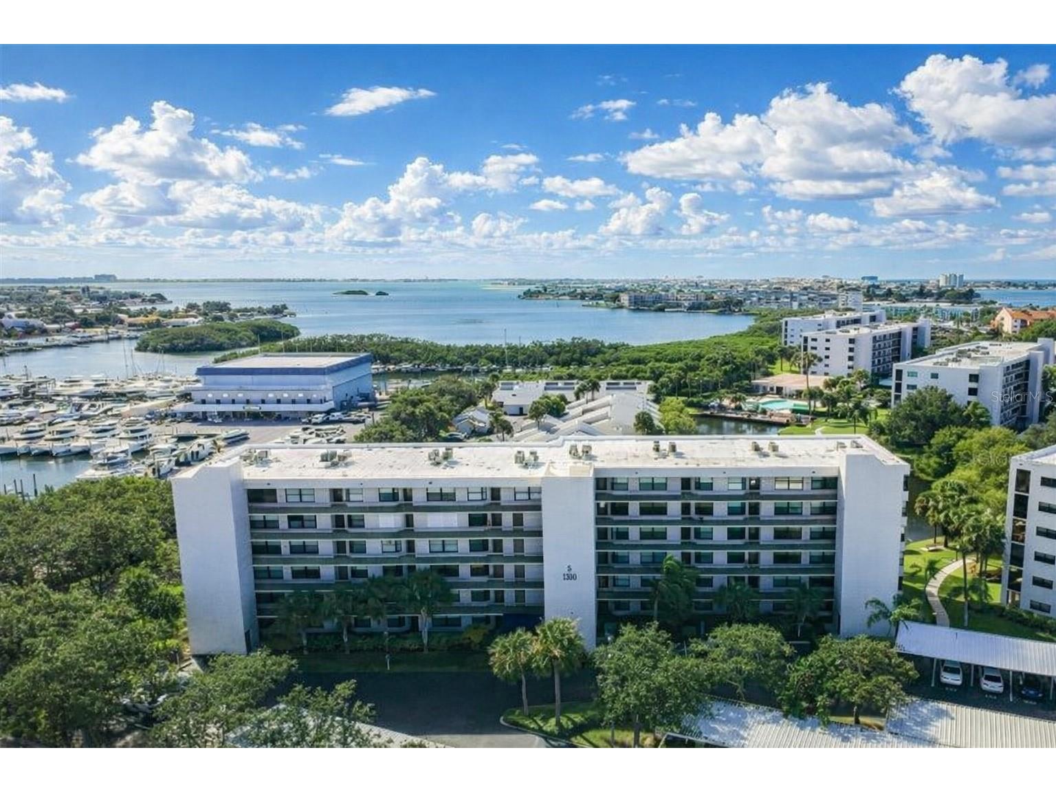 1316 Pasadena Avenue S #407 South Pasadena FL 33707 TB8483306 image2