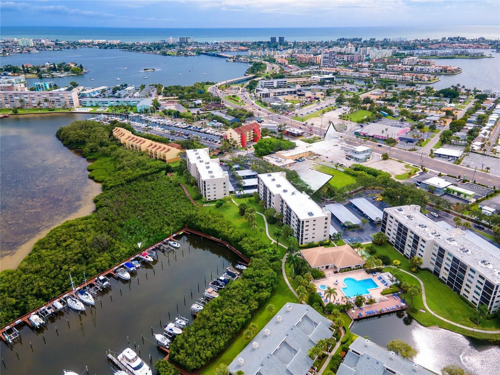 1316 Pasadena Avenue S #407 South Pasadena FL 33707 TB8483306 image91