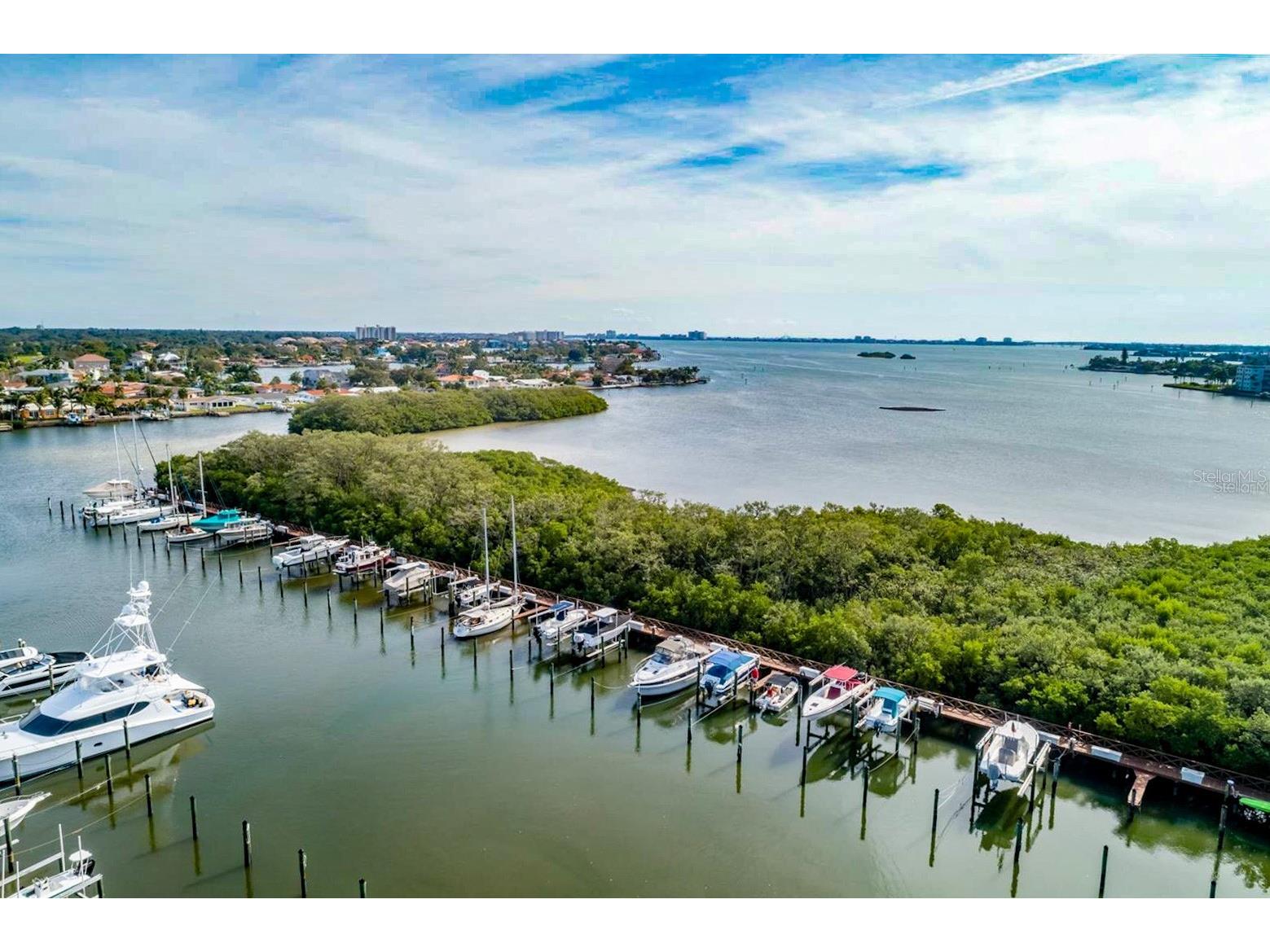 1316 Pasadena Avenue S #407 South Pasadena FL 33707 TB8483306 image92