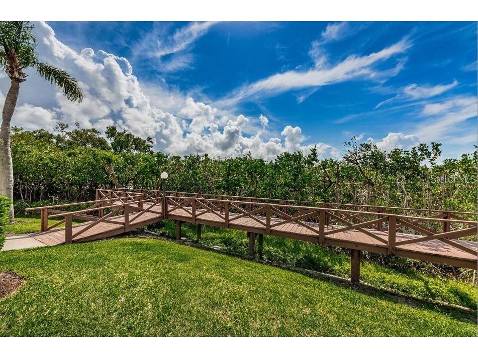 1316 Pasadena Avenue S #407 South Pasadena FL 33707 TB8483306 image96