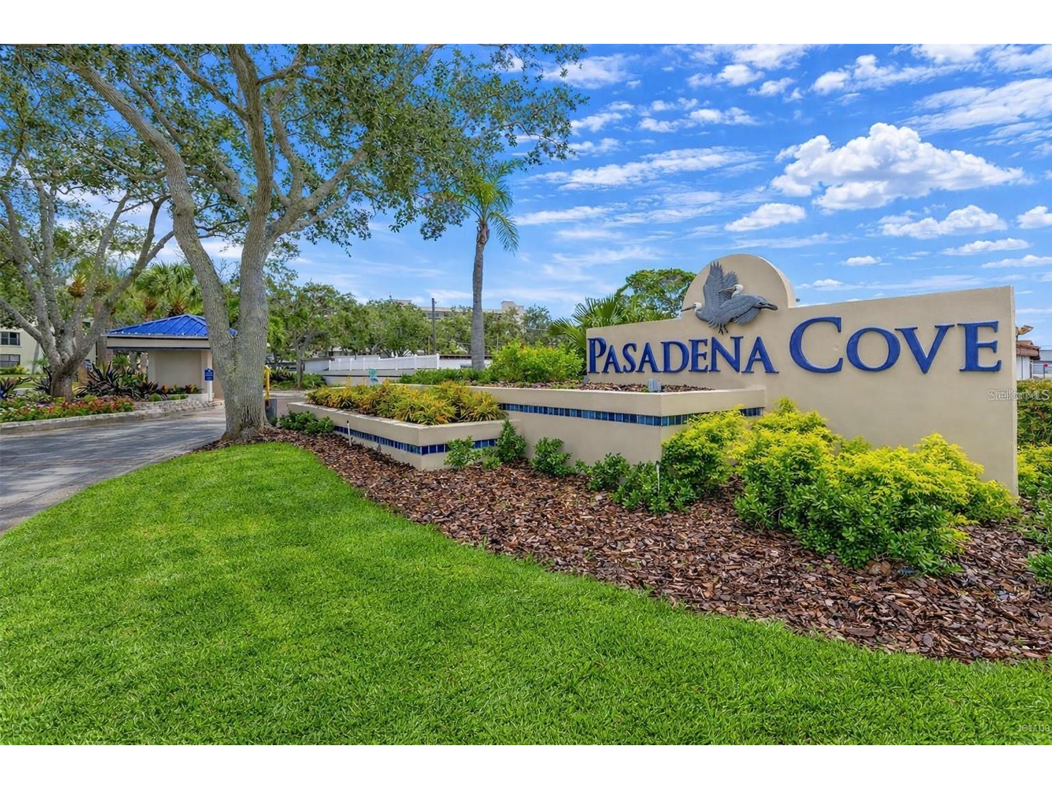 1316 Pasadena Avenue S #407 South Pasadena FL 33707 TB8483306 image99
