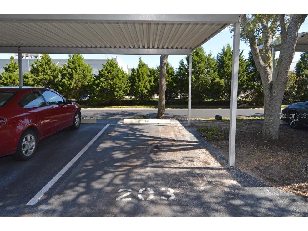 1316 Pasadena Avenue S #407 South Pasadena FL 33707 W7880128 image10