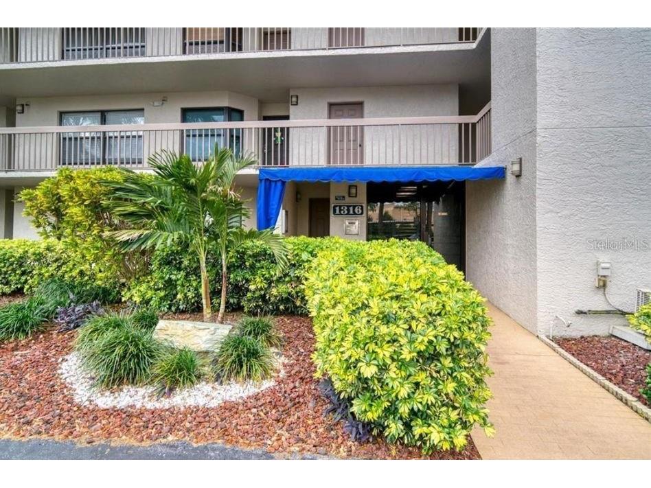 1316 Pasadena Avenue S #407 South Pasadena FL 33707 W7880128 image11