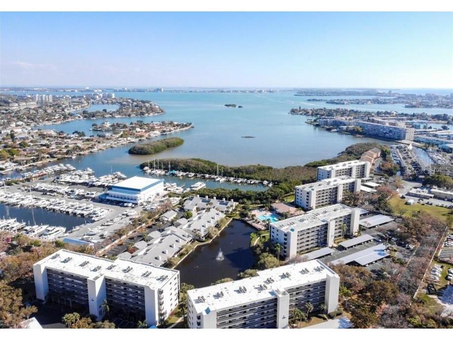 1316 Pasadena Avenue S #407 South Pasadena FL 33707 W7880128 image2