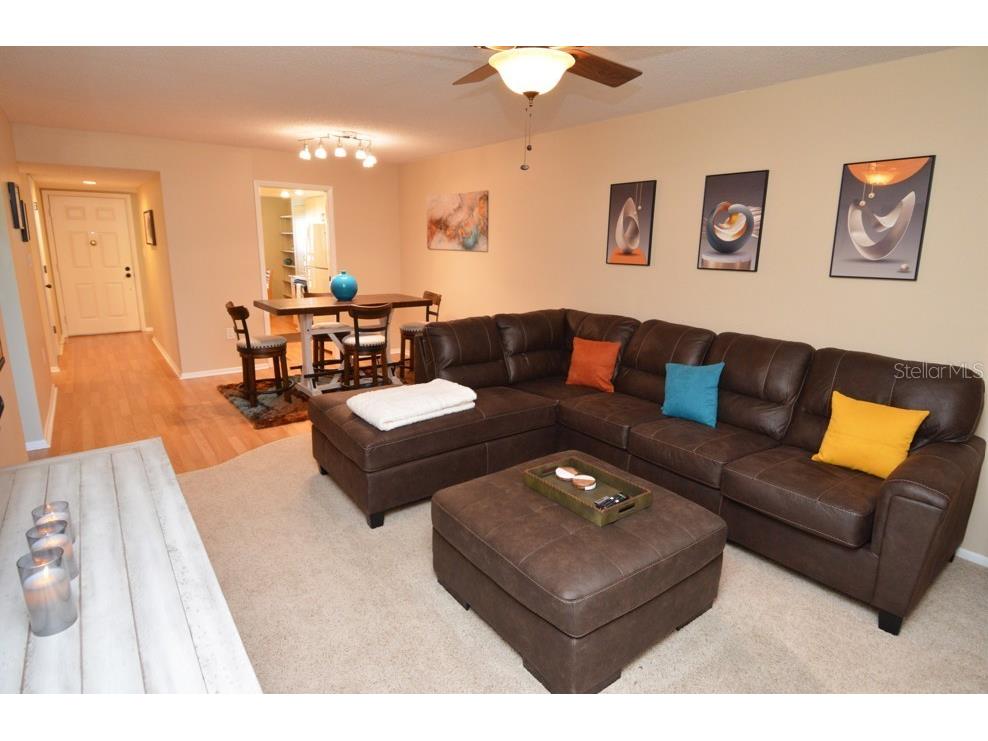 1316 Pasadena Avenue S #407 South Pasadena FL 33707 W7880128 image31