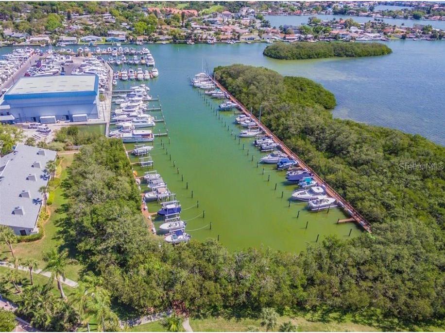 1316 Pasadena Avenue S #407 South Pasadena FL 33707 W7880128 image4