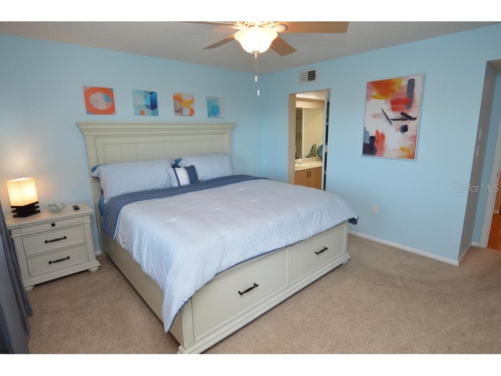 1316 Pasadena Avenue S #407 South Pasadena FL 33707 W7880128 image61