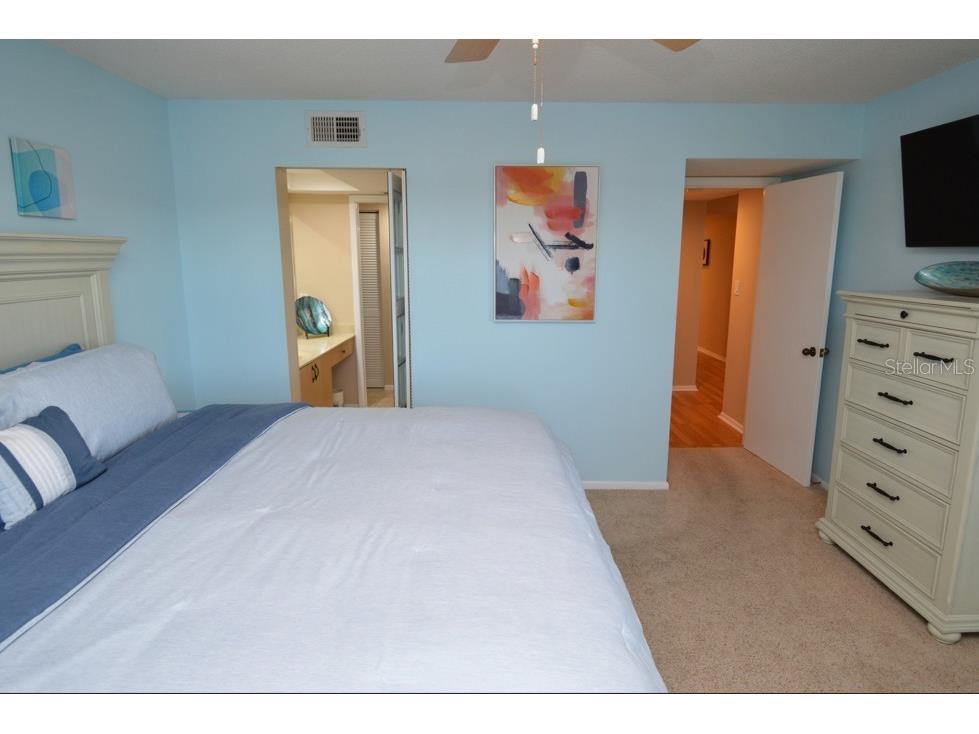 1316 Pasadena Avenue S #407 South Pasadena FL 33707 W7880128 image62