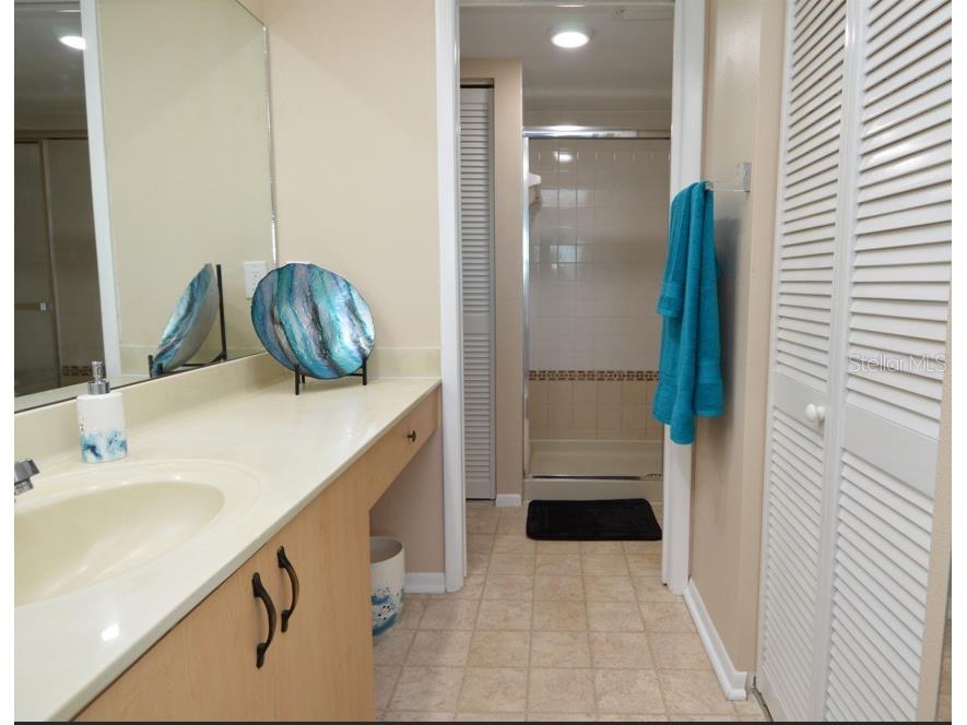 1316 Pasadena Avenue S #407 South Pasadena FL 33707 W7880128 image72