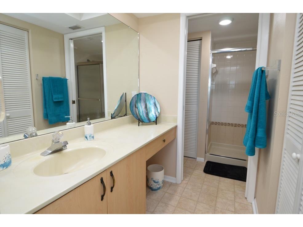 1316 Pasadena Avenue S #407 South Pasadena FL 33707 W7880128 image73