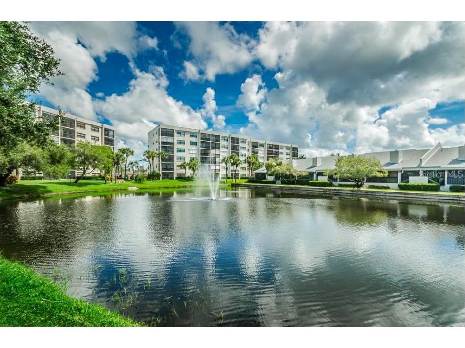 1316 Pasadena Avenue S #407 South Pasadena FL 33707 W7880128 image8