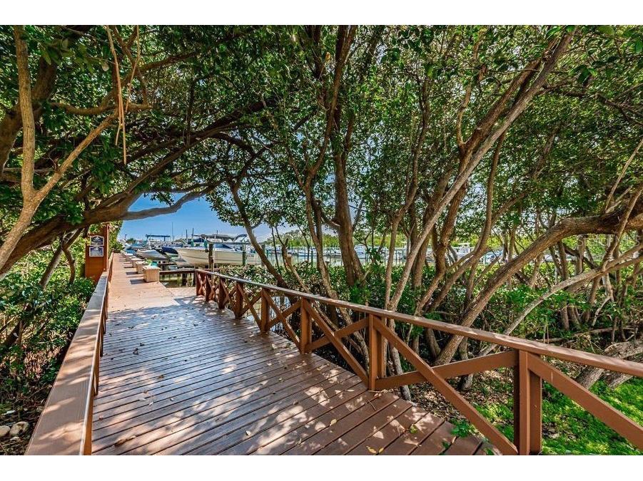 1316 Pasadena Avenue S #407 South Pasadena FL 33707 W7880128 image85