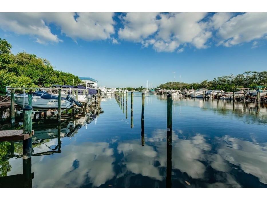 1316 Pasadena Avenue S #407 South Pasadena FL 33707 W7880128 image88