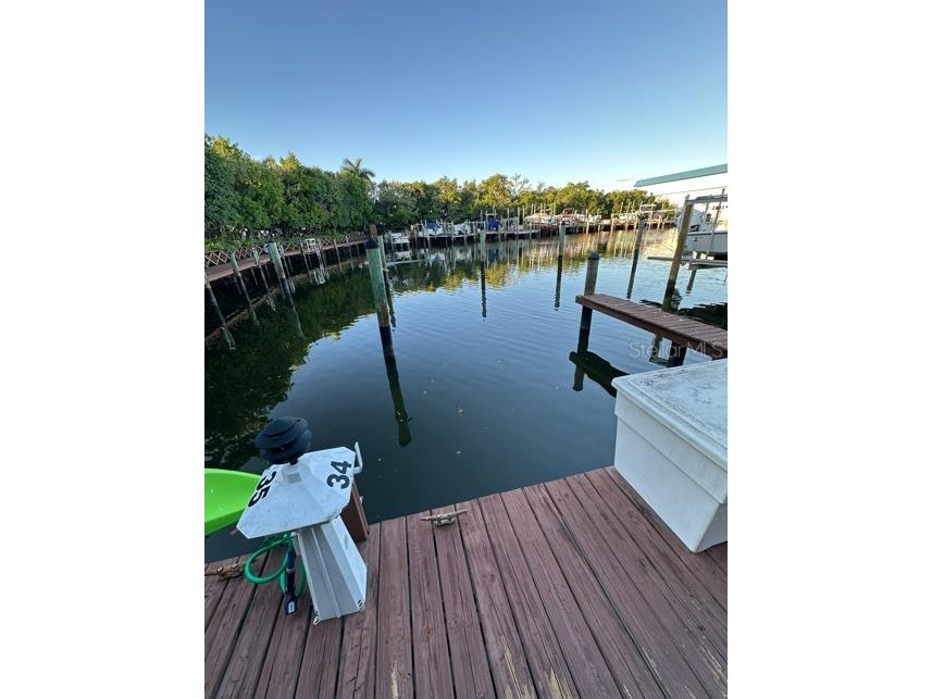 1316 Pasadena Avenue S #407 South Pasadena FL 33707 W7880128 image89