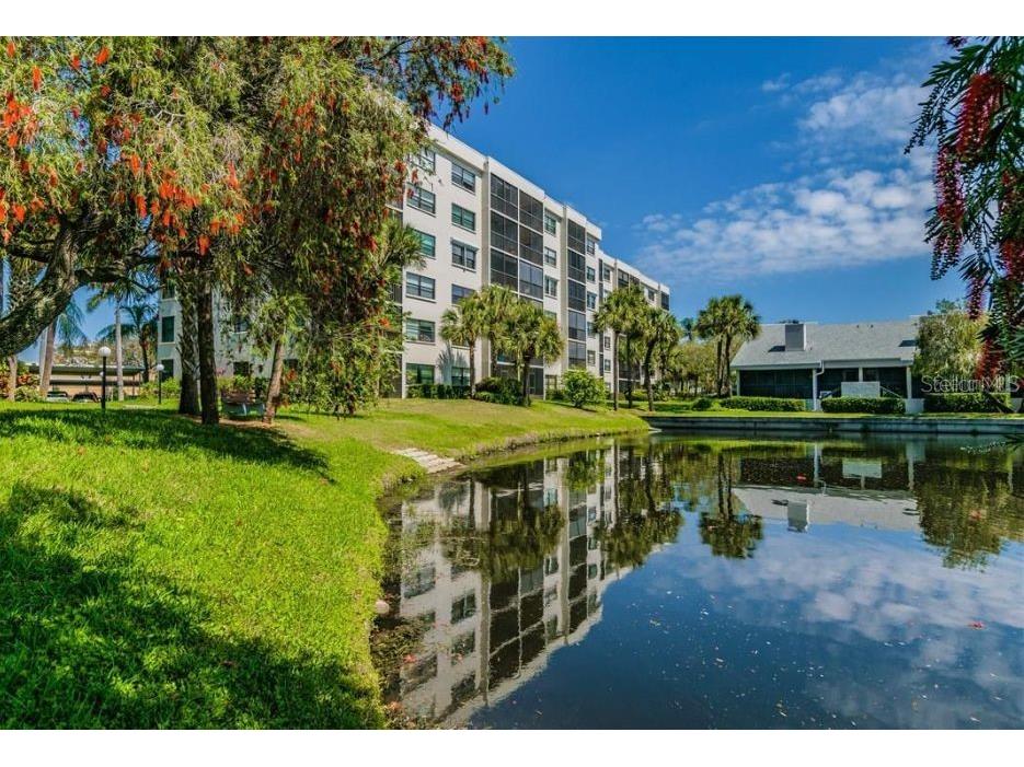 1316 Pasadena Avenue S #407 South Pasadena FL 33707 W7880128 image9