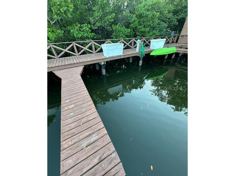 1316 Pasadena Avenue S #407 South Pasadena FL 33707 W7880128 image90