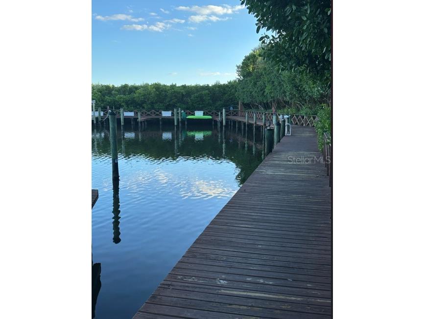 1316 Pasadena Avenue S #407 South Pasadena FL 33707 W7880128 image91