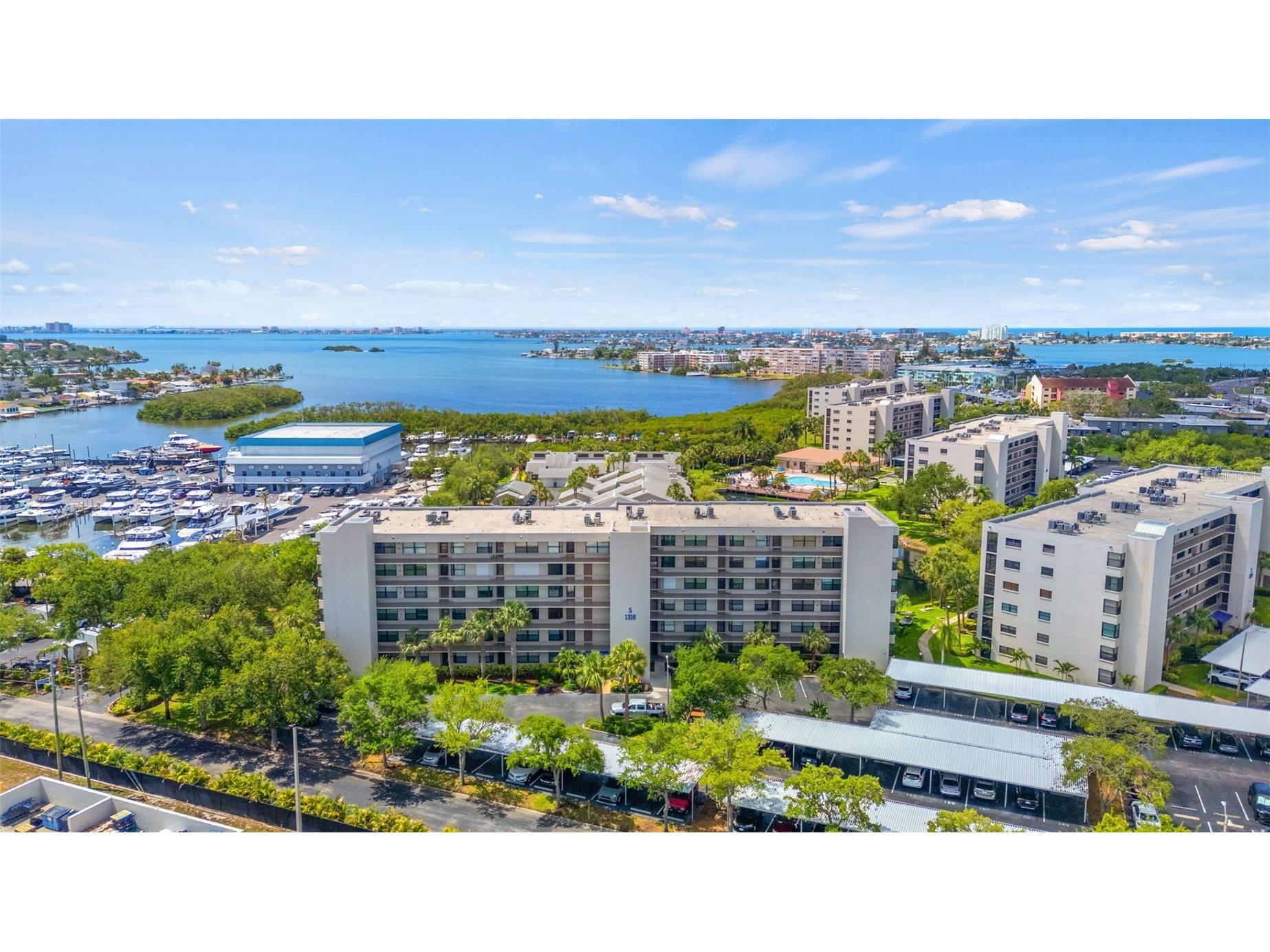 1316 Pasadena Avenue S #408 South Pasadena FL 33707 - BOCA CIEGA BAY TB8507828 image34