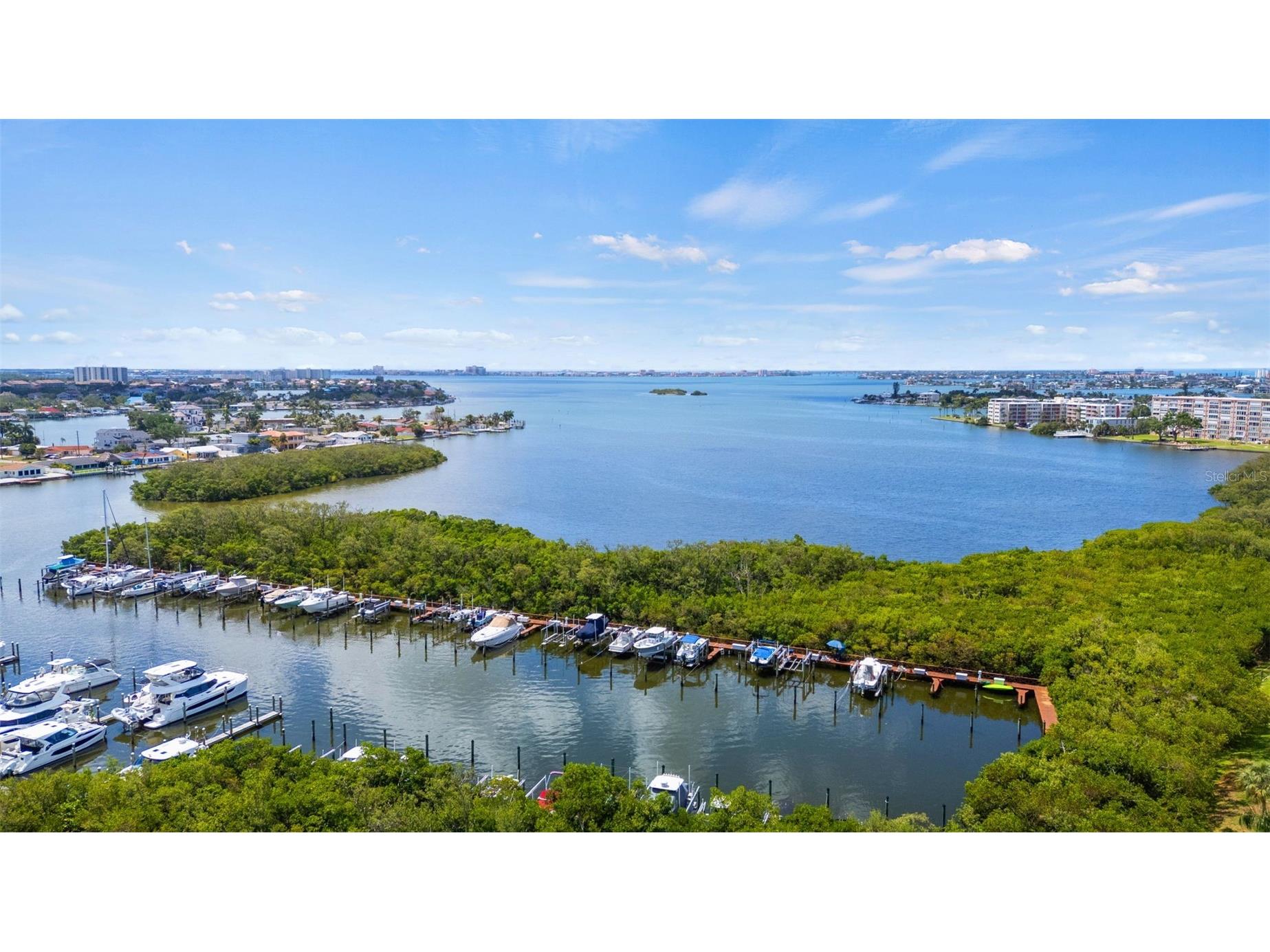 1316 Pasadena Avenue S #408 South Pasadena FL 33707 - BOCA CIEGA BAY TB8507828 image42