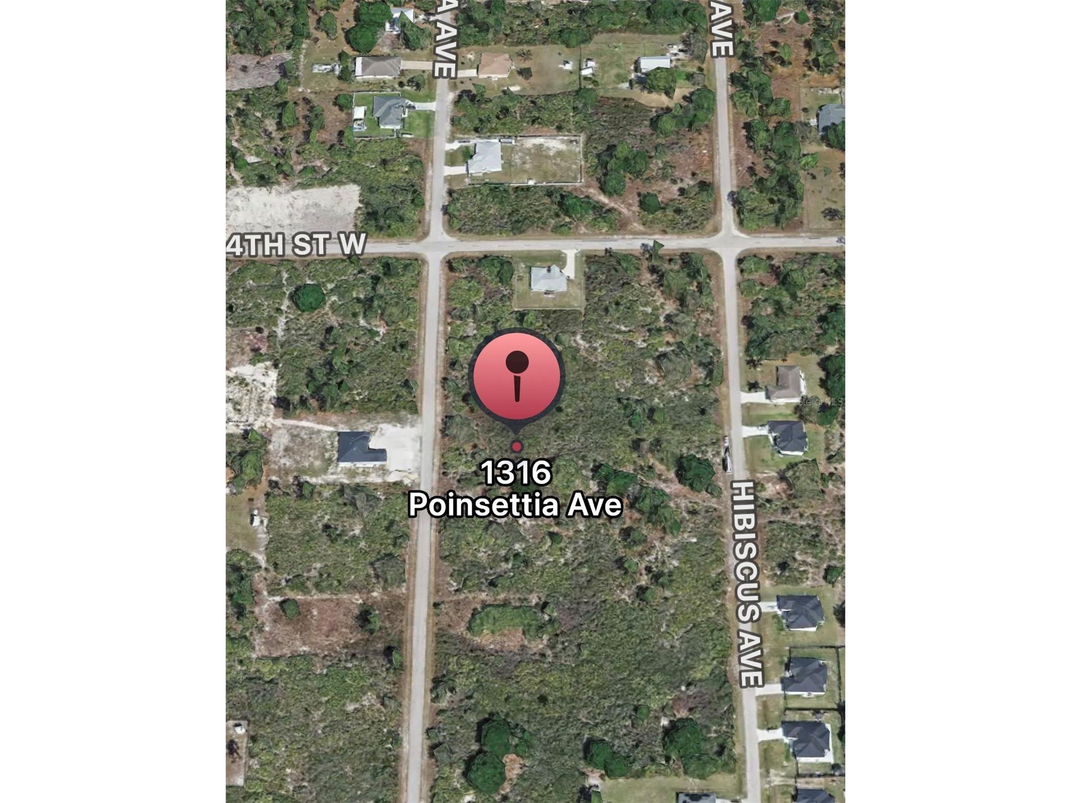 1316 Poinsettia Avenue Lehigh Acres FL 33972 O6396452 image1