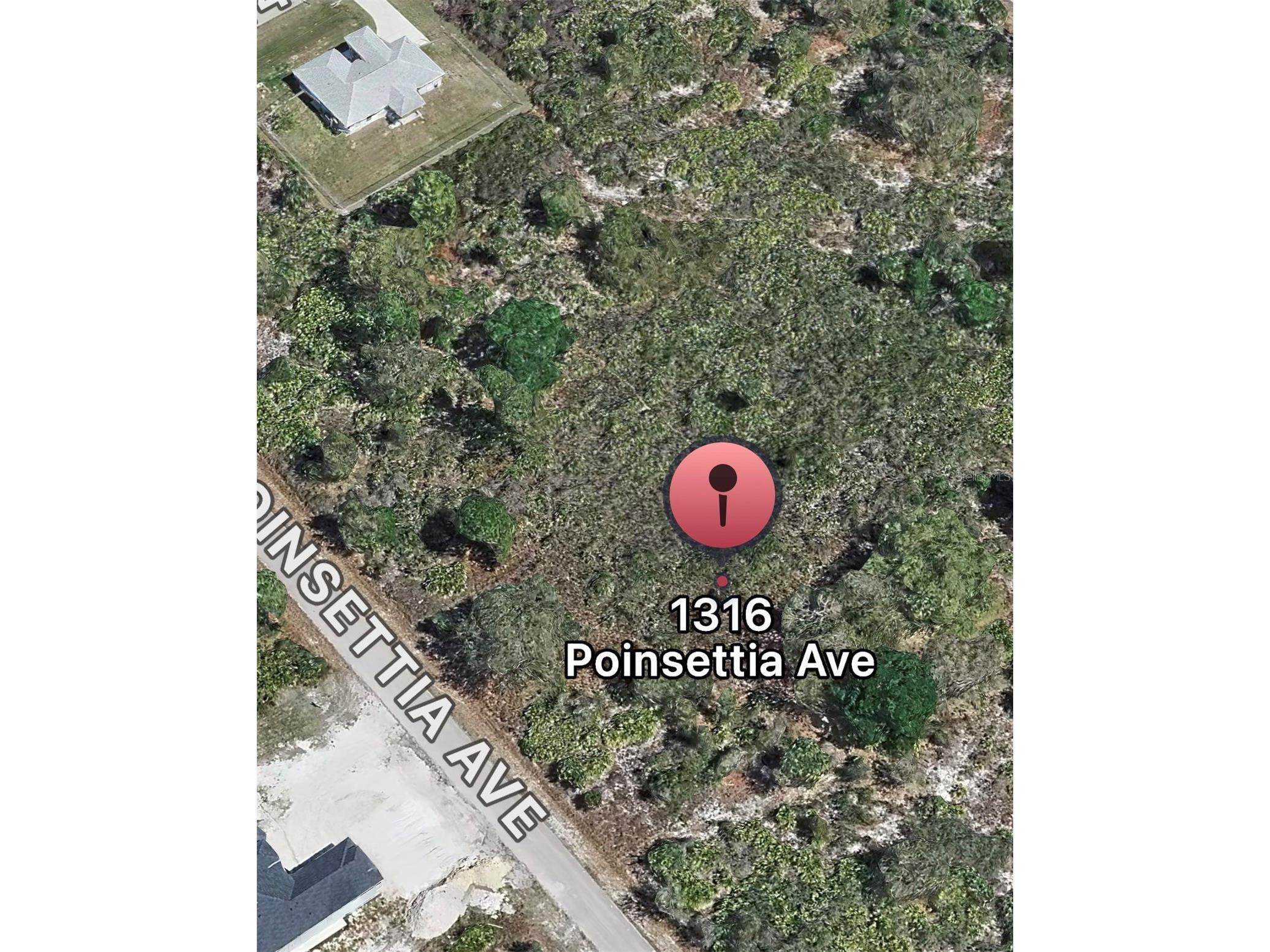 1316 Poinsettia Avenue Lehigh Acres FL 33972 O6396452 image2