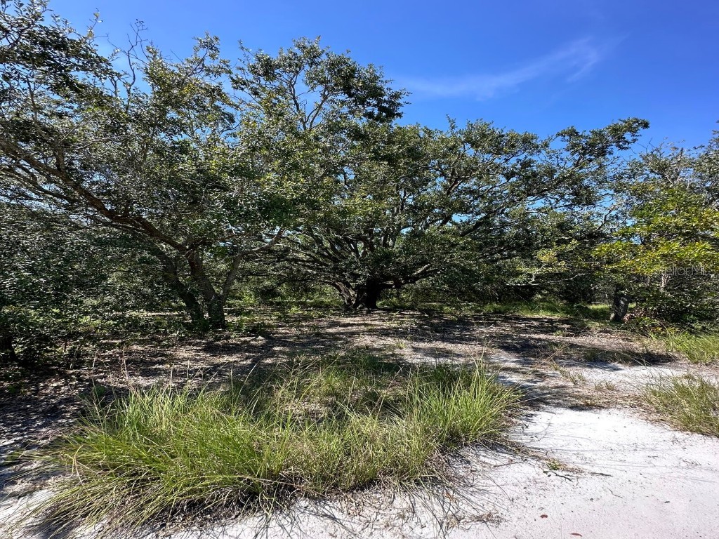 1316 Rutledge Avenue Lake Placid FL 33852 O6144088 image1