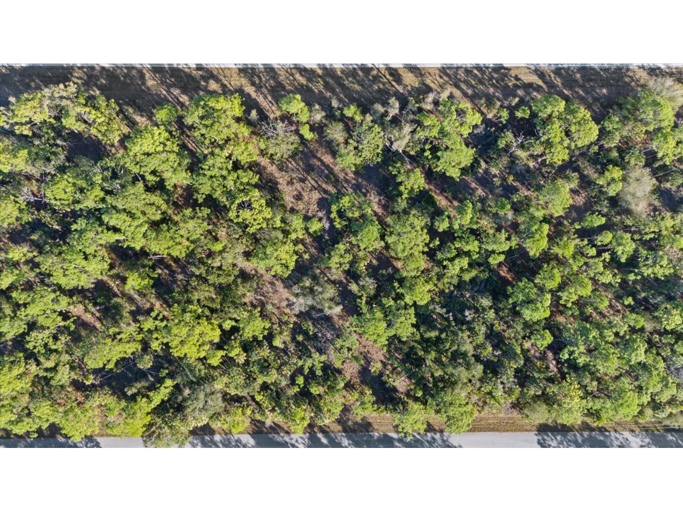 1316 Shake Street Port Charlotte FL 33953 C7519802 image8