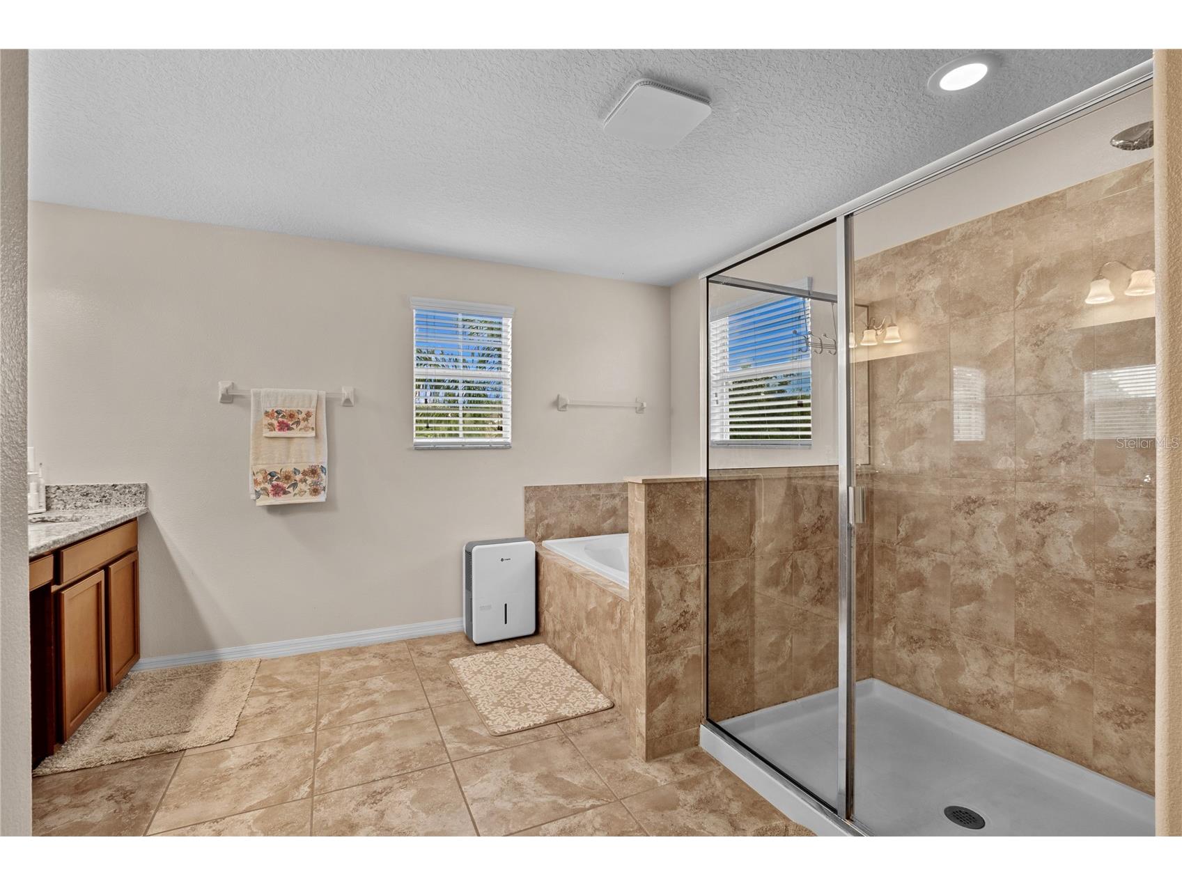 13161 Royal Pines Avenue Riverview FL 33579 TB8498264 image10