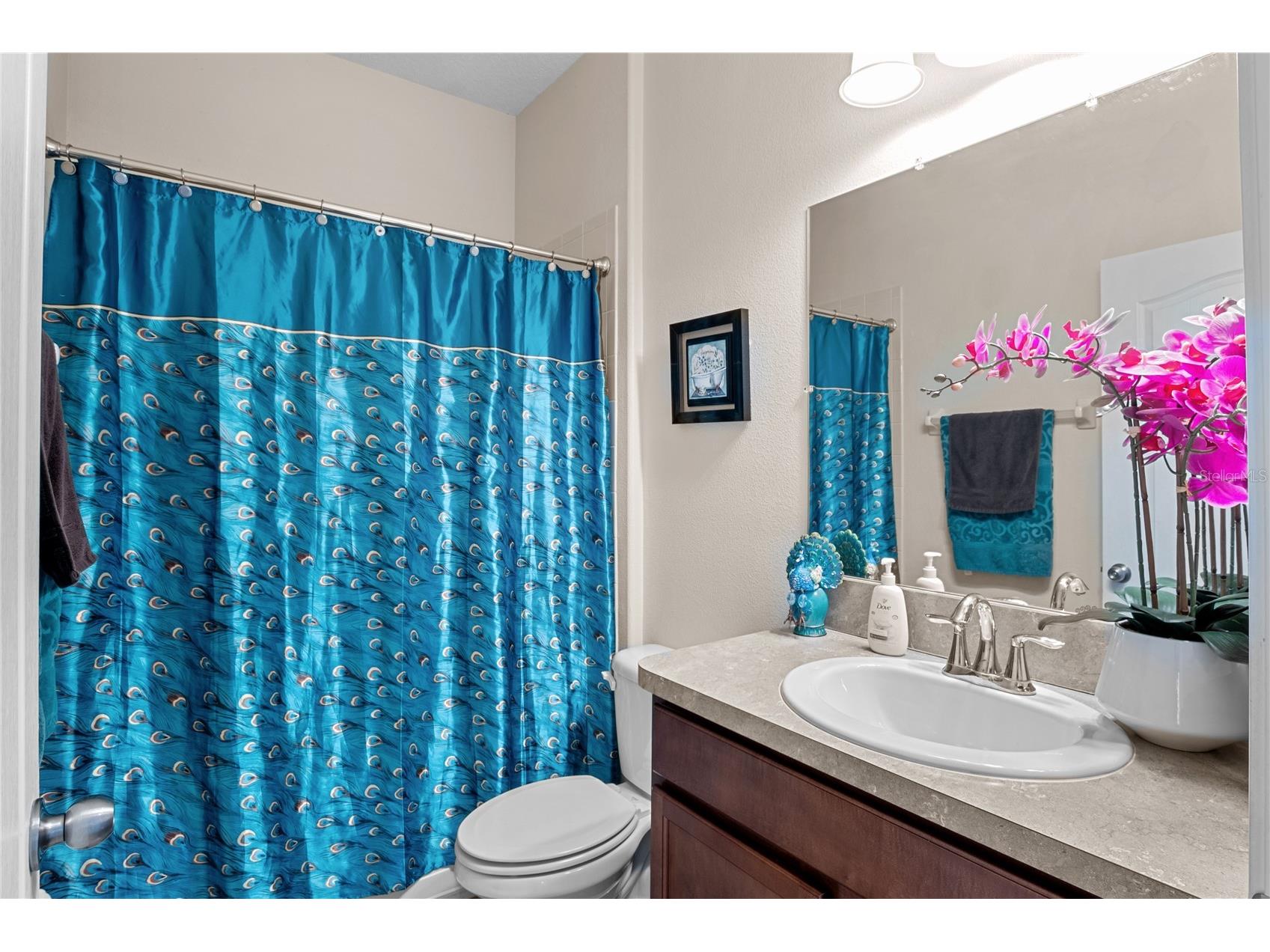 13161 Royal Pines Avenue Riverview FL 33579 TB8498264 image24