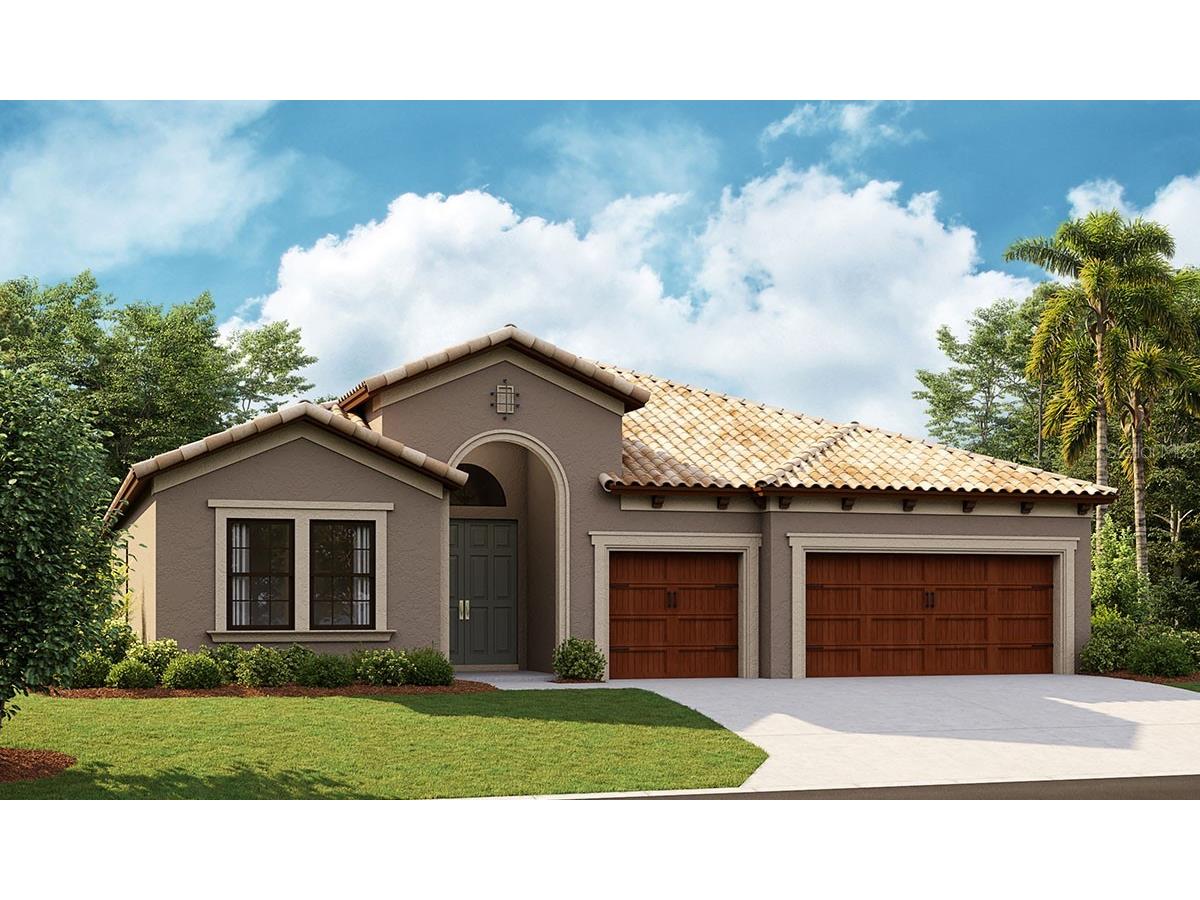 13161 Twin Bridges Drive Riverview FL 33579 T3445641 image1