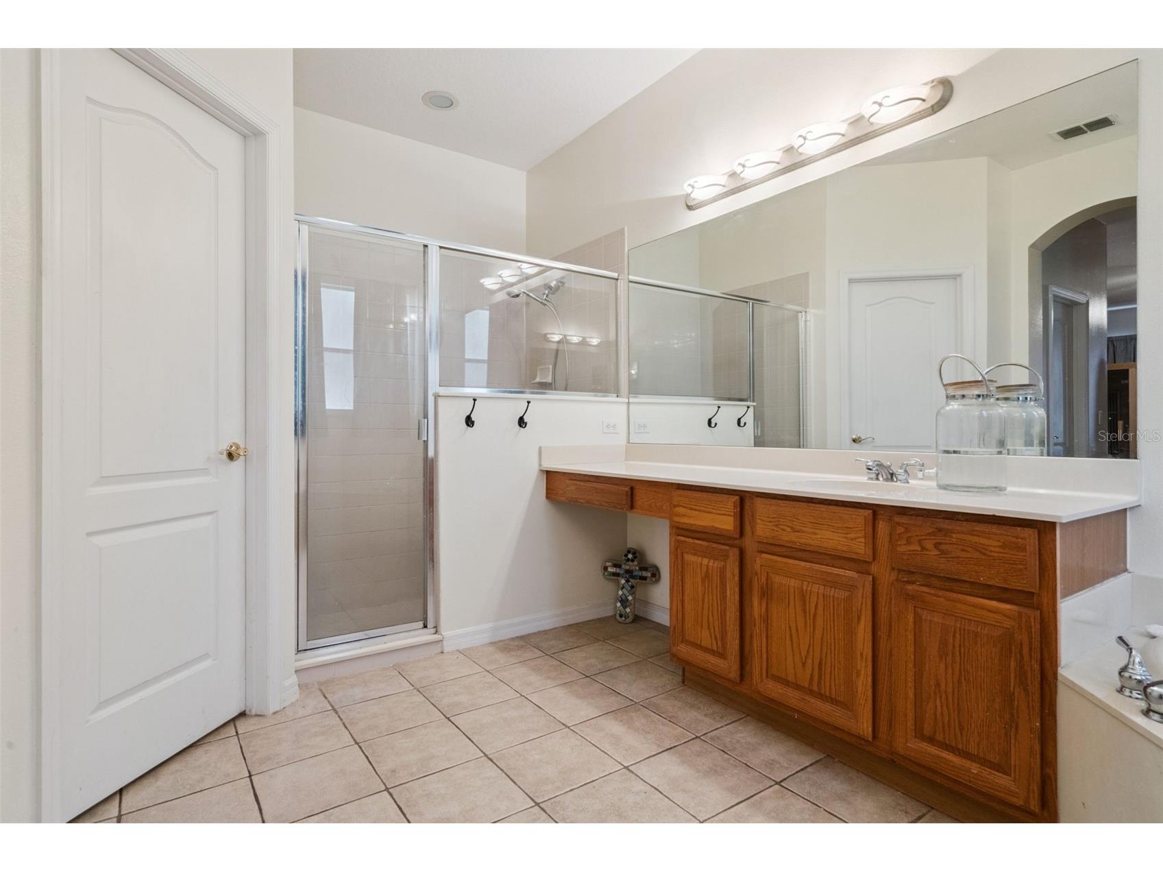 13163 Lakeshore Grove Drive Winter Garden FL 34787 - LAKE LUNTZ G5114337 image36