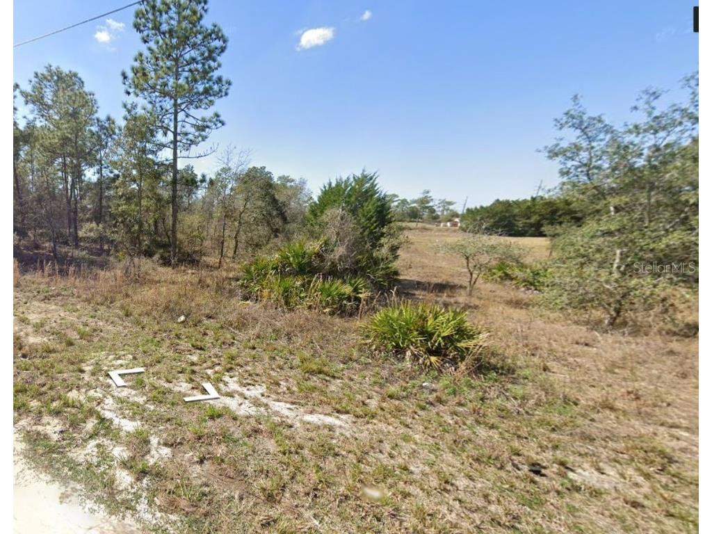 13164 Flaccus Court Brooksville FL 34613 U8253839 image1