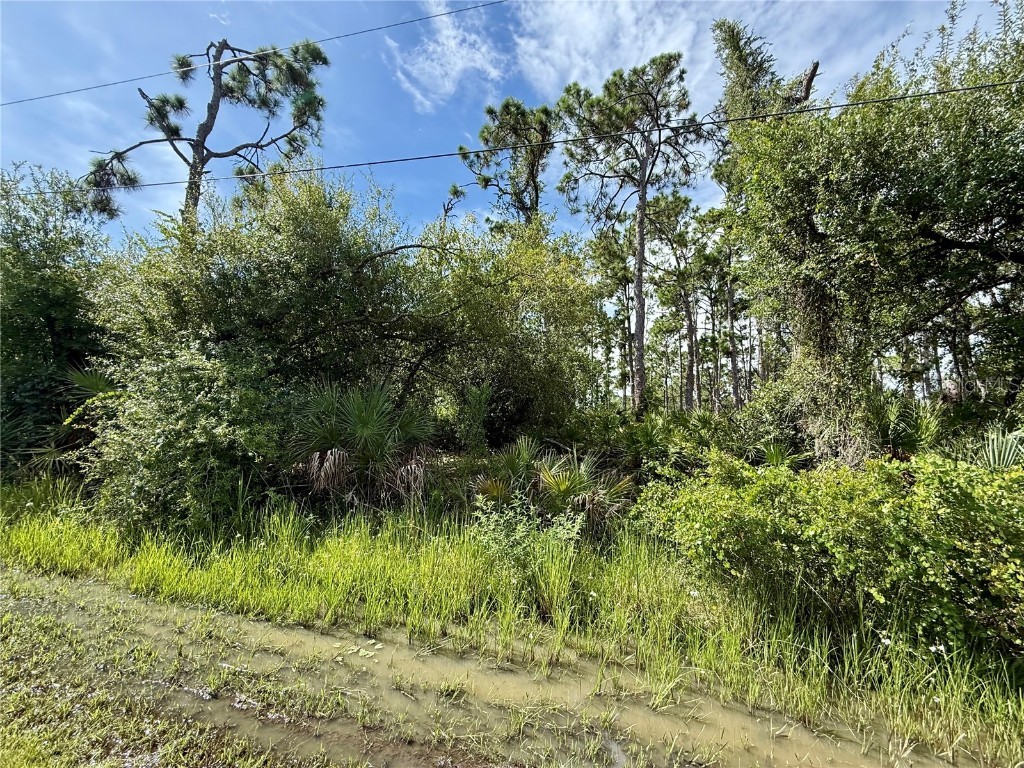 13165 Gotham Ave Port Charlotte FL 33954 C7513401 image3