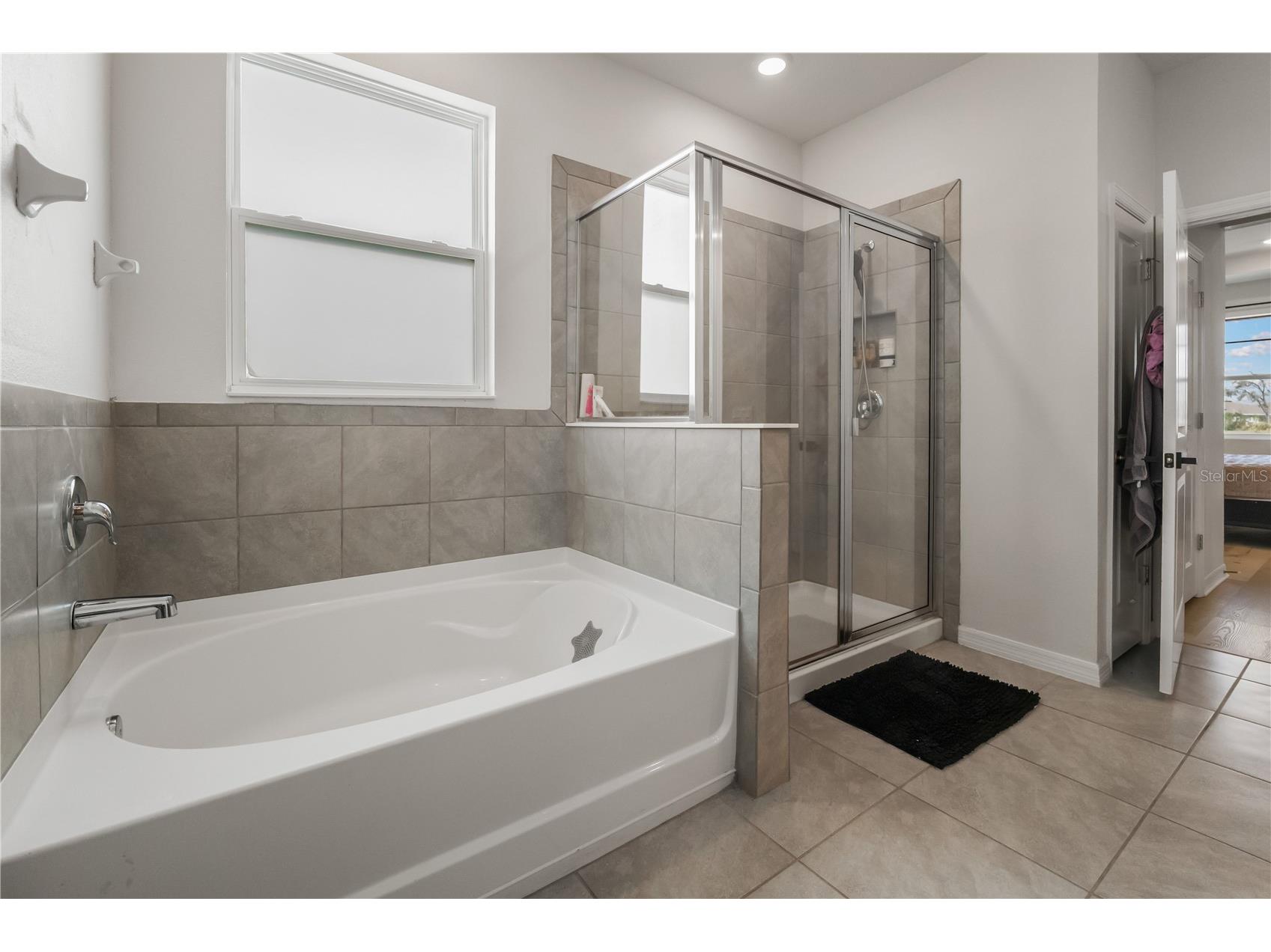 13166 Brookside Moss Drive Riverview FL 33579 TB8488017 image22