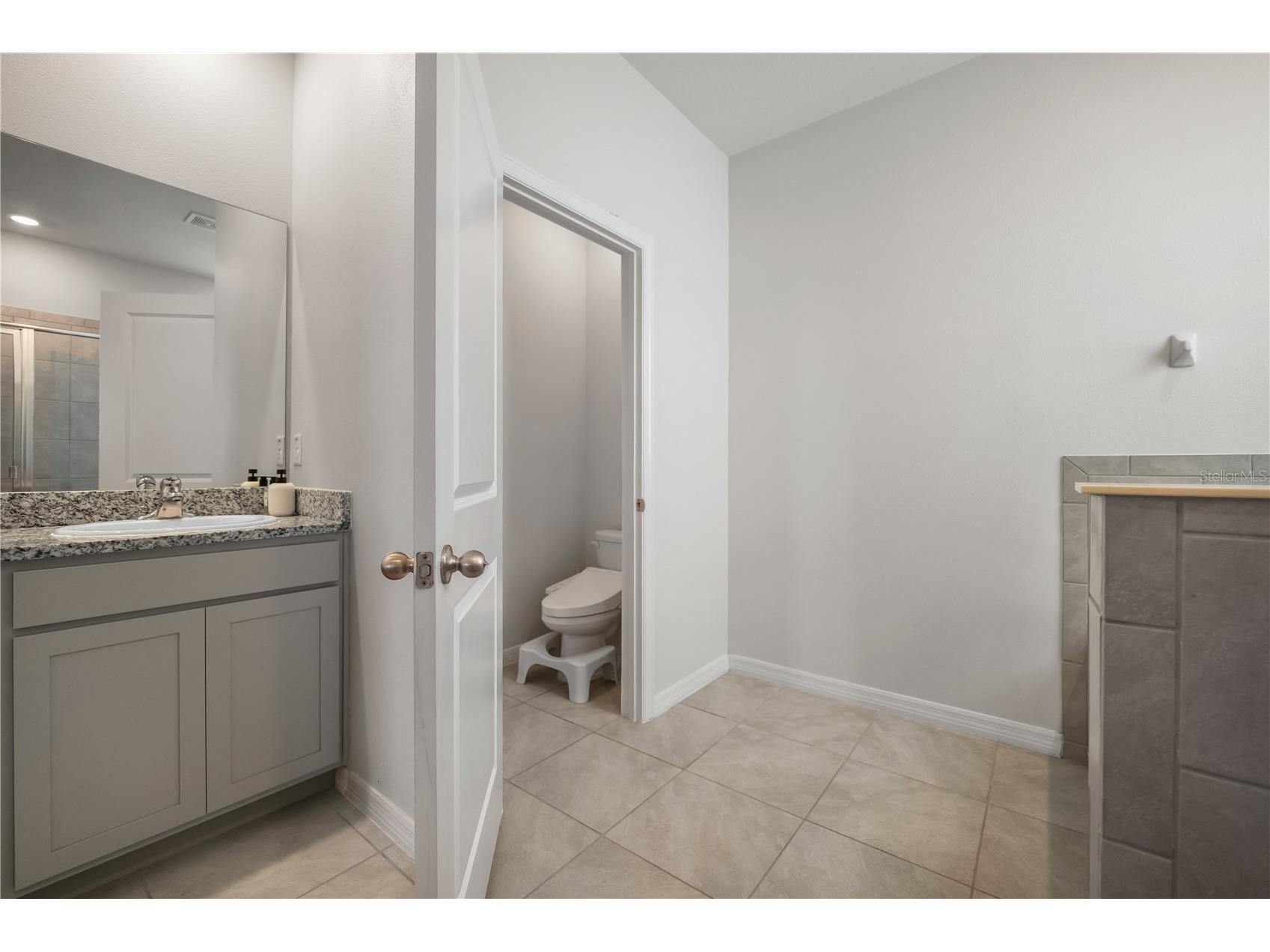 13166 Brookside Moss Drive Riverview FL 33579 TB8488017 image31