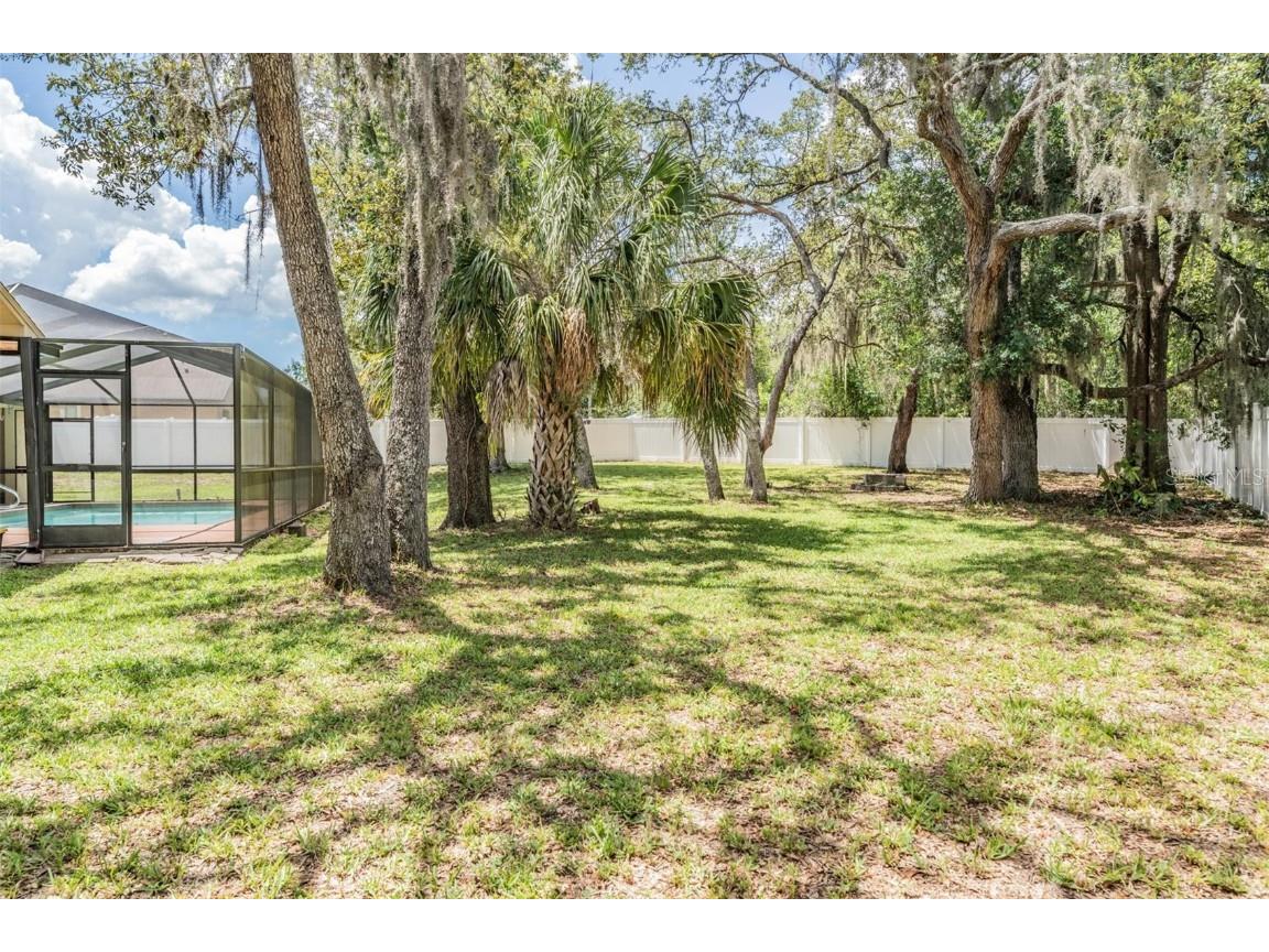 13167 Roseanna Drive Spring Hill FL 34609 TB8397914 image33