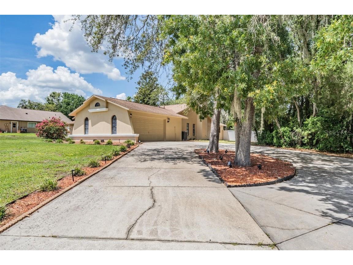 13167 Roseanna Drive Spring Hill FL 34609 TB8397914 image37