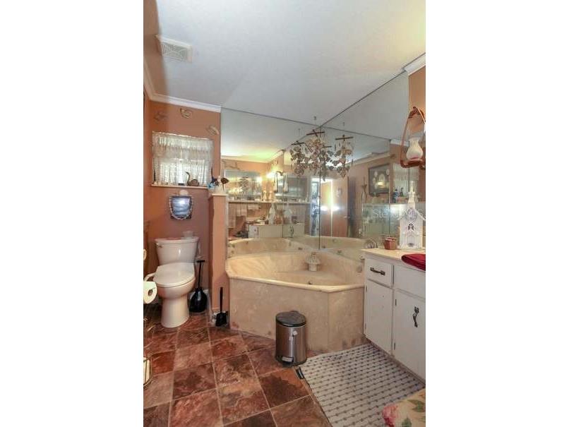 13167 SE 39th Court Belleview FL 34420 OM710128 image17