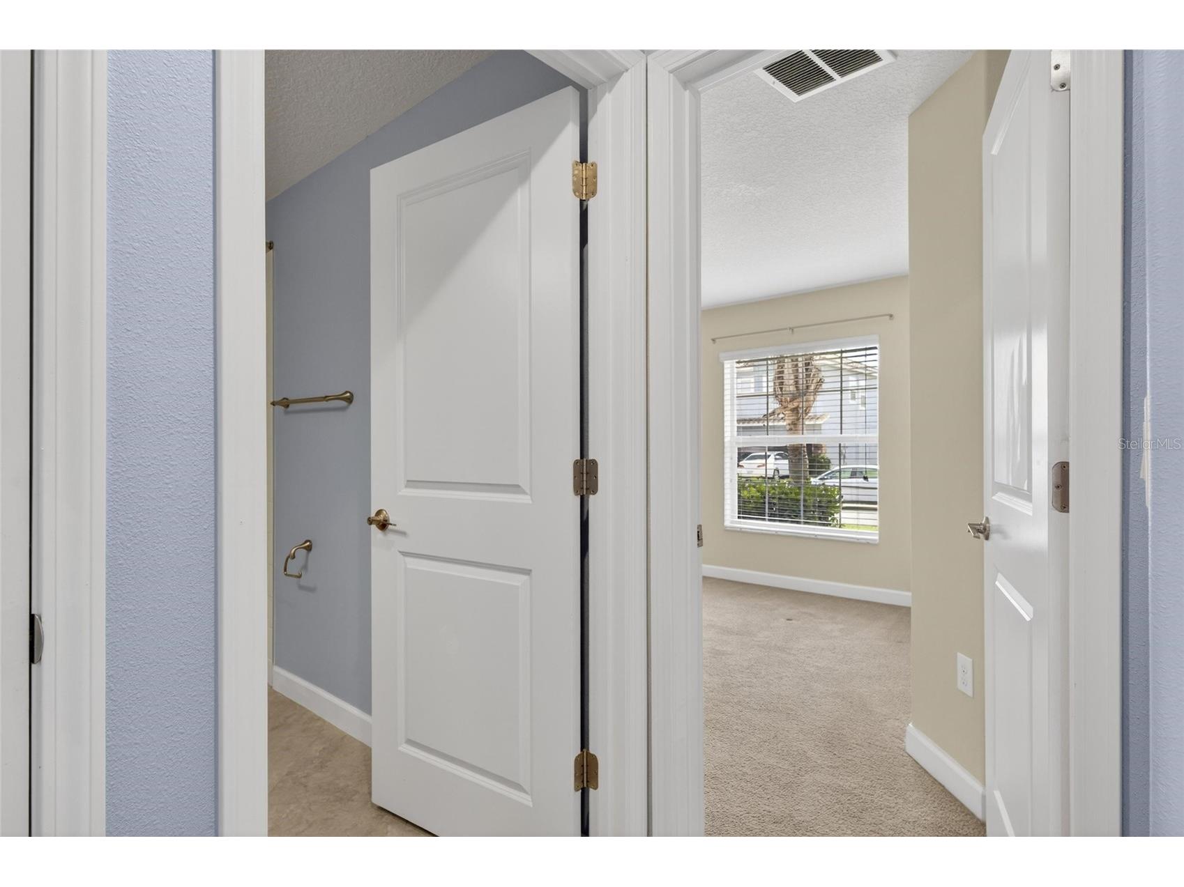 13168 Green Violet Drive Riverview FL 33579 TB8501467 image21