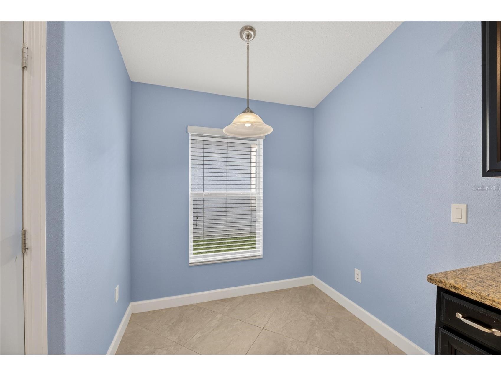13168 Green Violet Drive Riverview FL 33579 TB8501467 image30