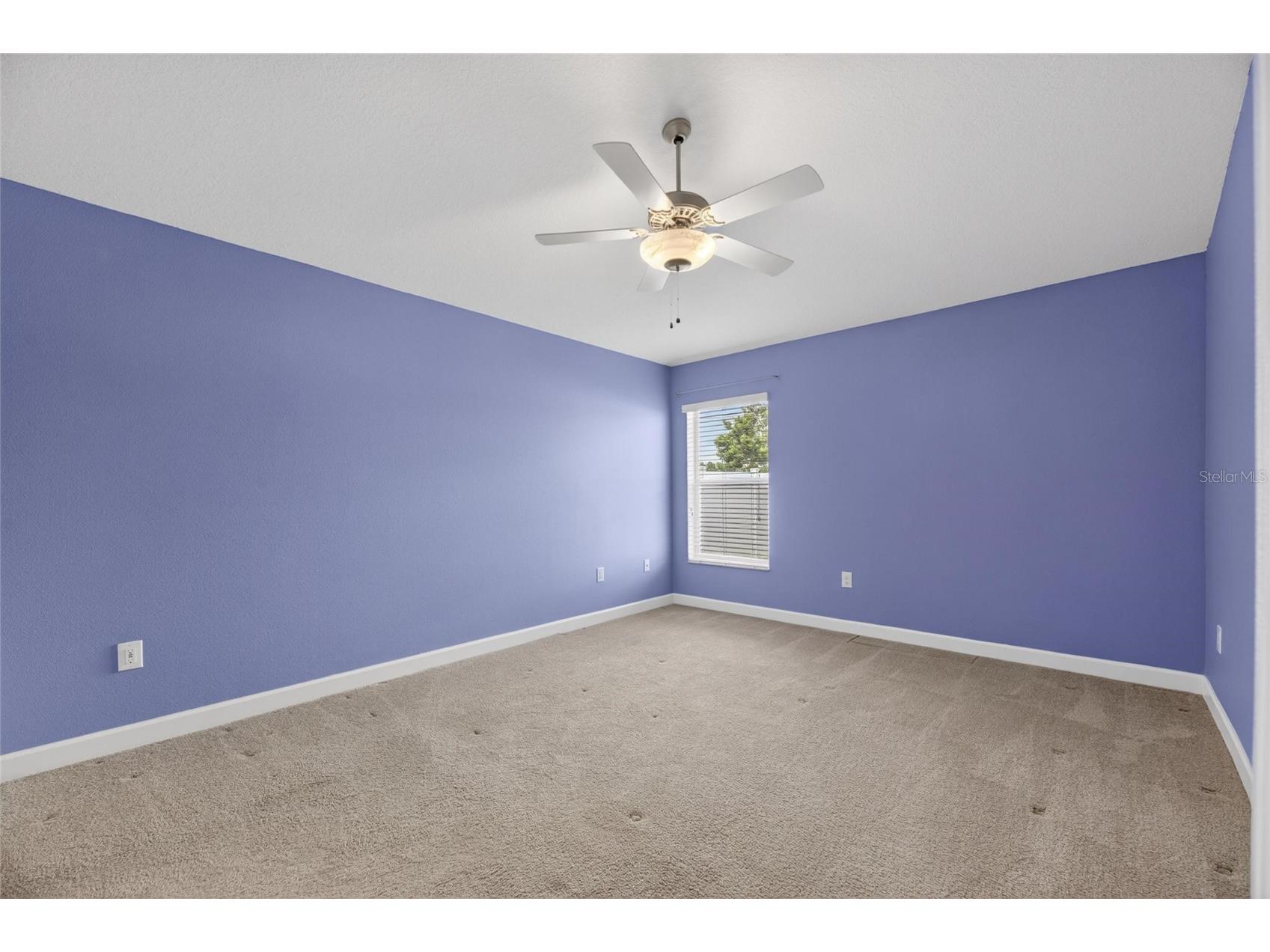 13168 Green Violet Drive Riverview FL 33579 TB8501467 image34