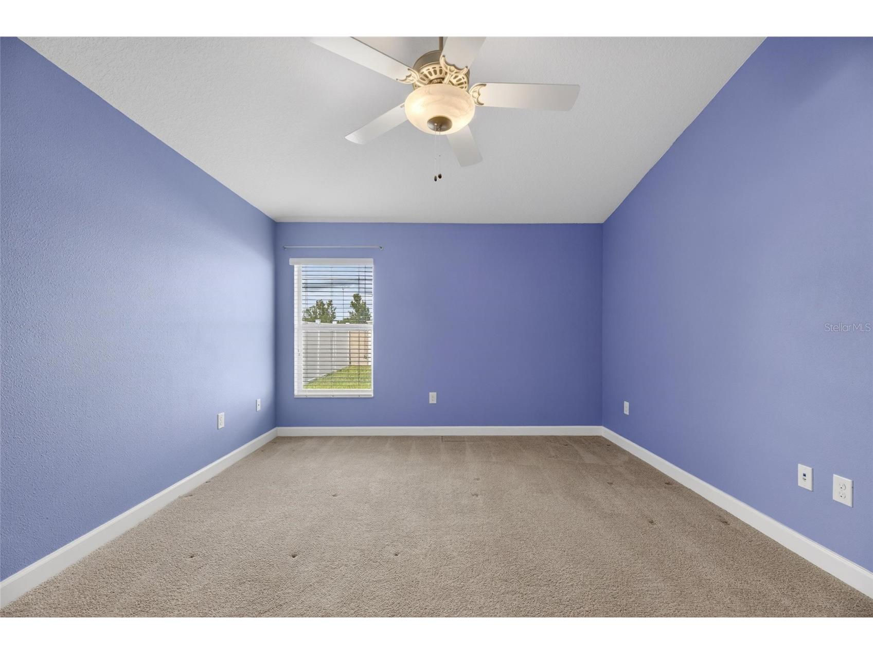 13168 Green Violet Drive Riverview FL 33579 TB8501467 image35