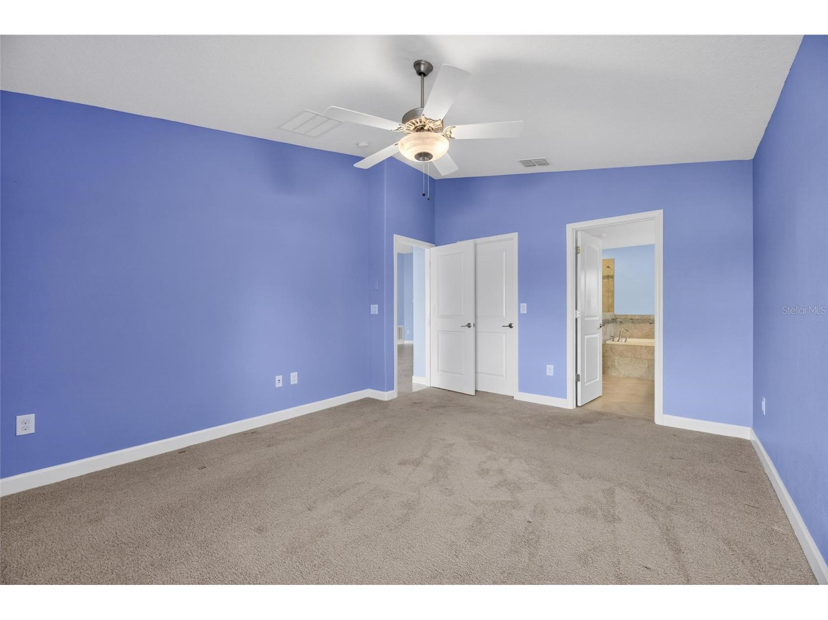 13168 Green Violet Drive Riverview FL 33579 TB8501467 image37