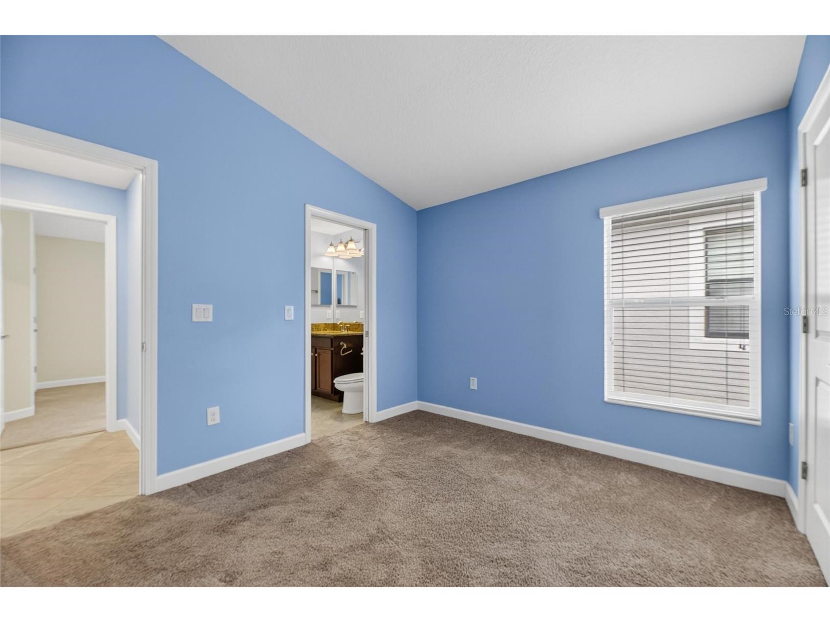 13168 Green Violet Drive Riverview FL 33579 TB8501467 image39