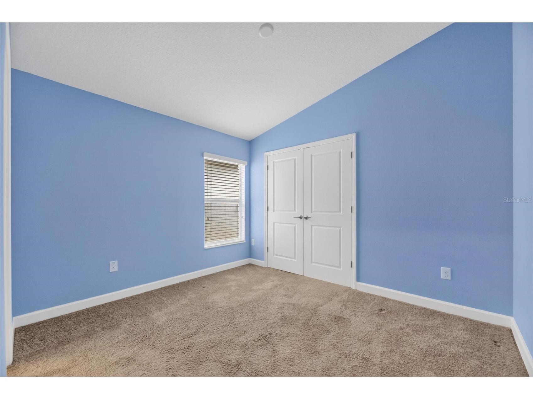 13168 Green Violet Drive Riverview FL 33579 TB8501467 image40