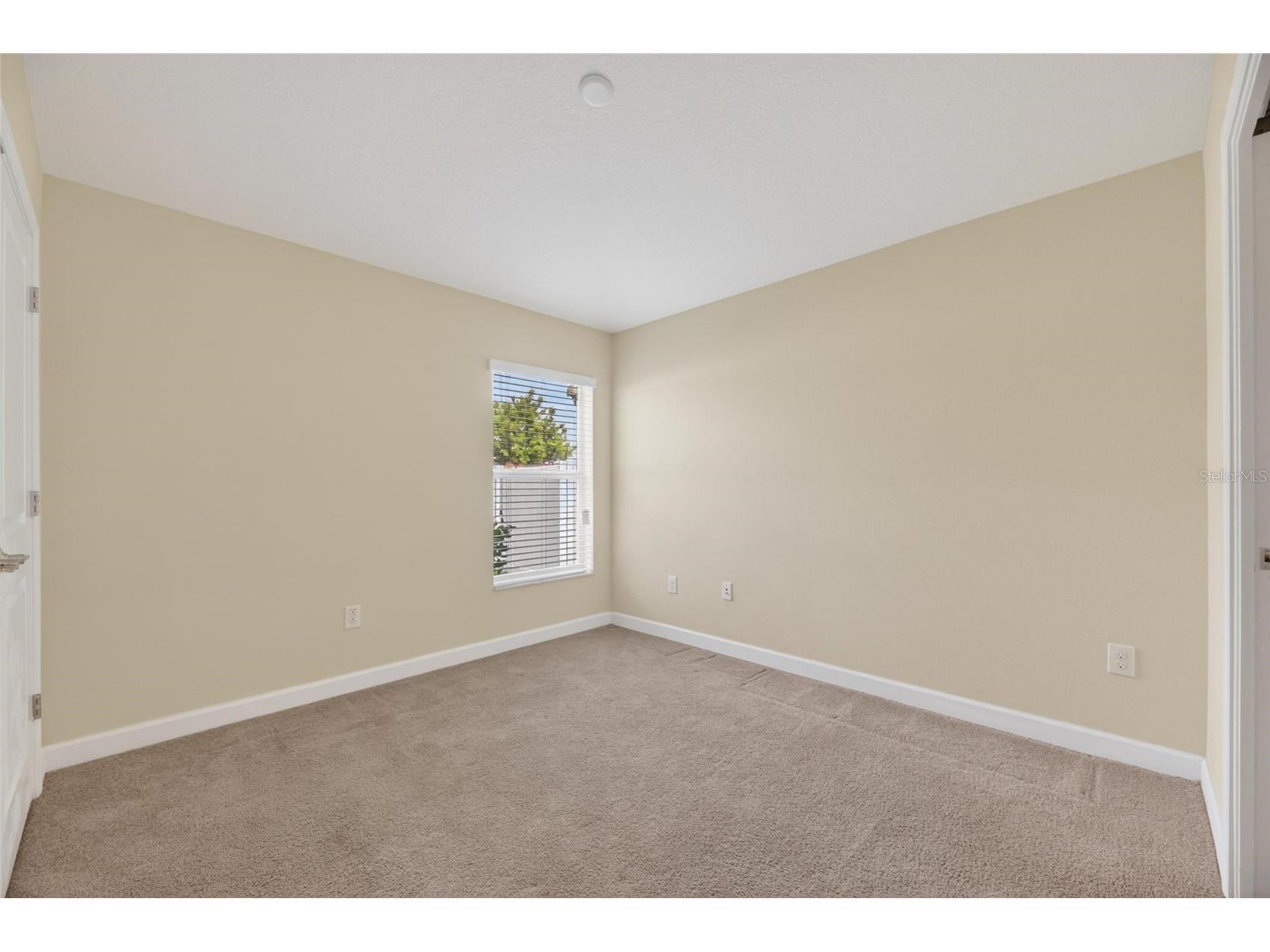 13168 Green Violet Drive Riverview FL 33579 TB8501467 image42