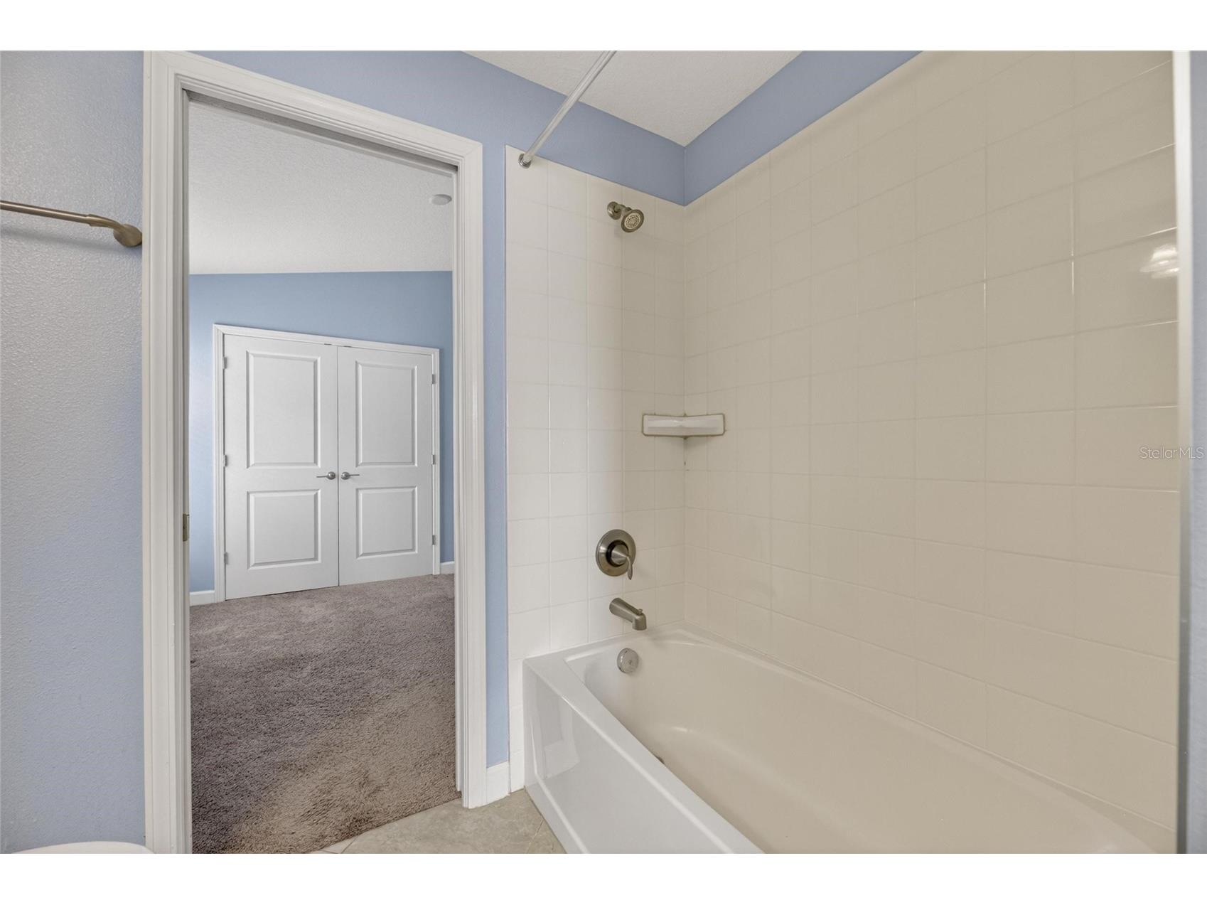 13168 Green Violet Drive Riverview FL 33579 TB8501467 image45