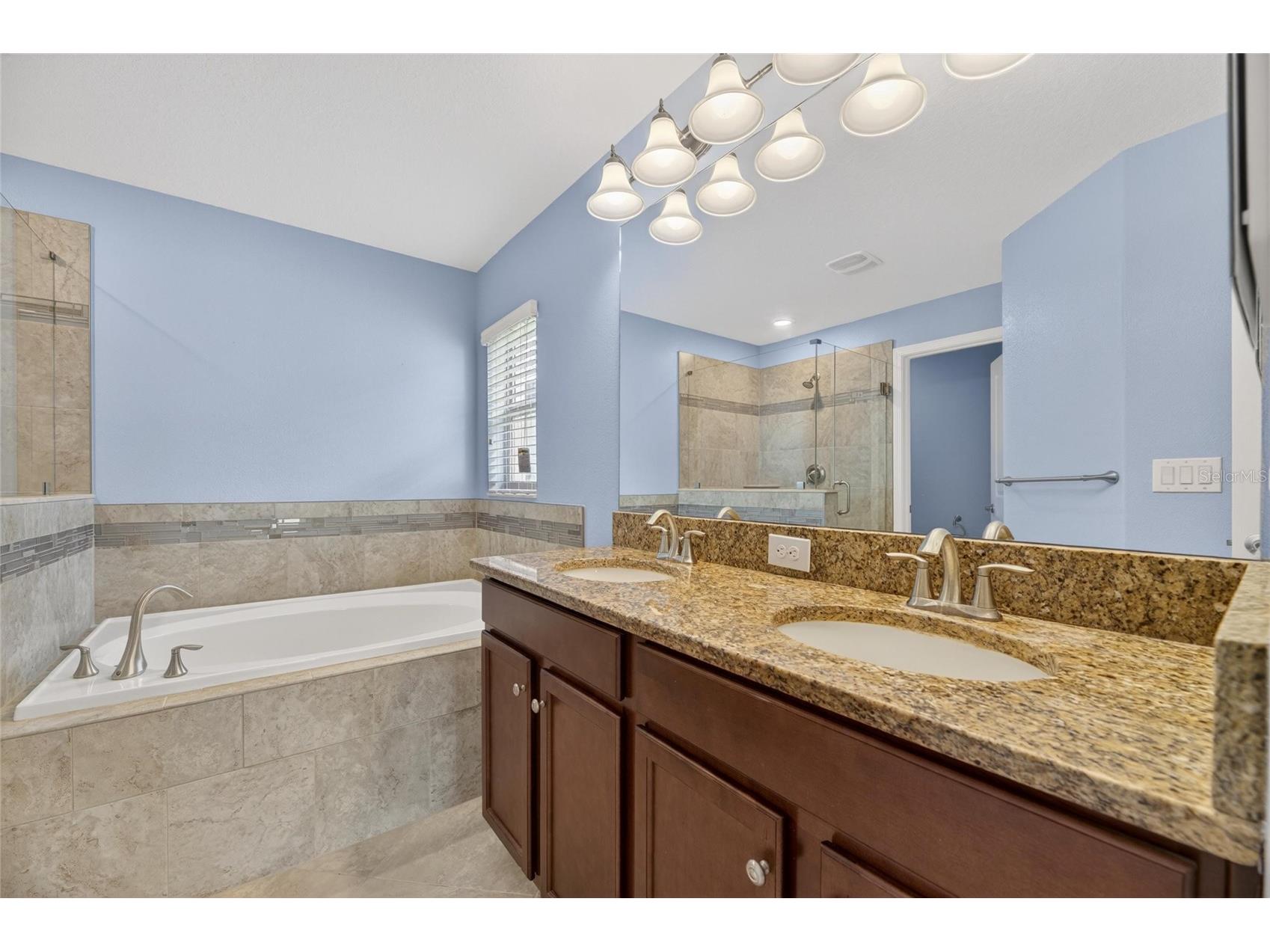 13168 Green Violet Drive Riverview FL 33579 TB8501467 image50