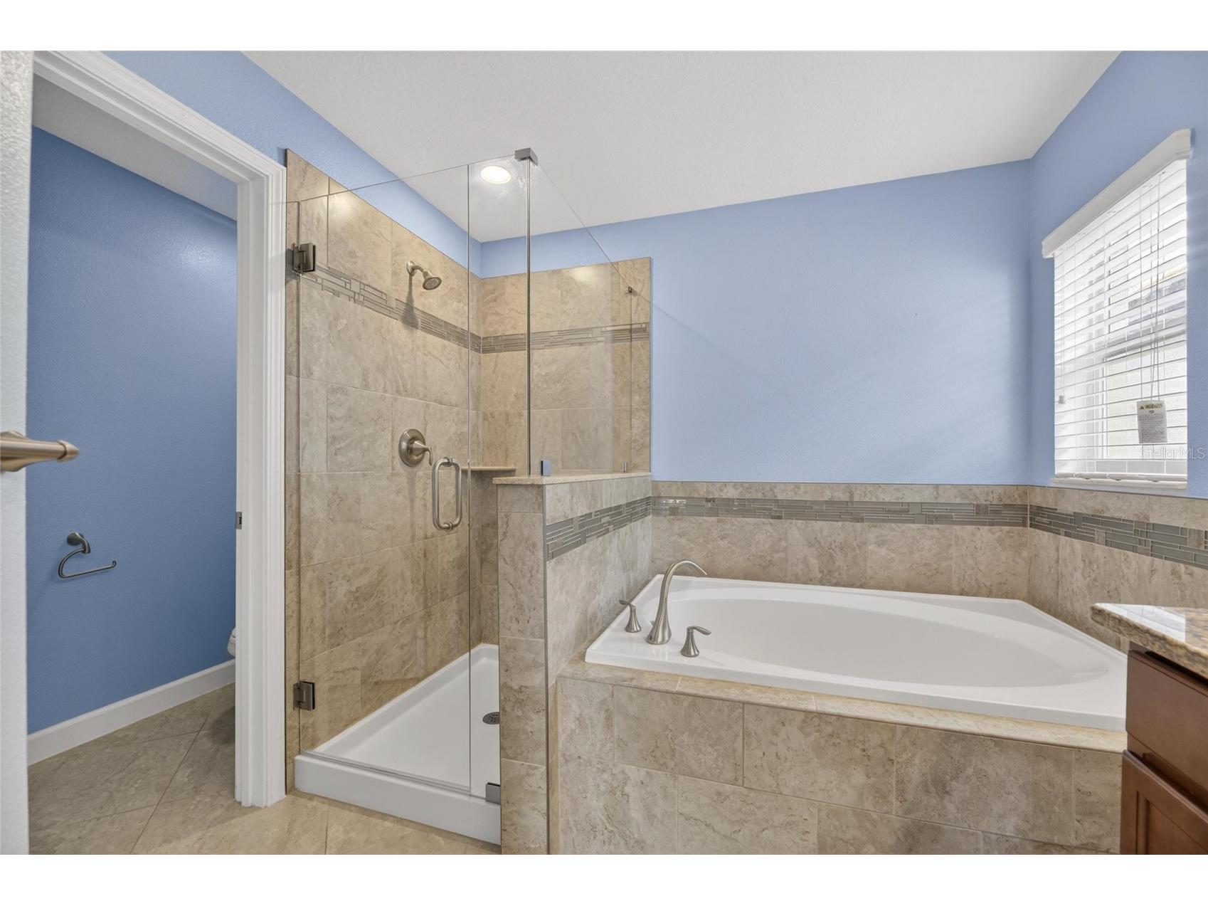 13168 Green Violet Drive Riverview FL 33579 TB8501467 image51