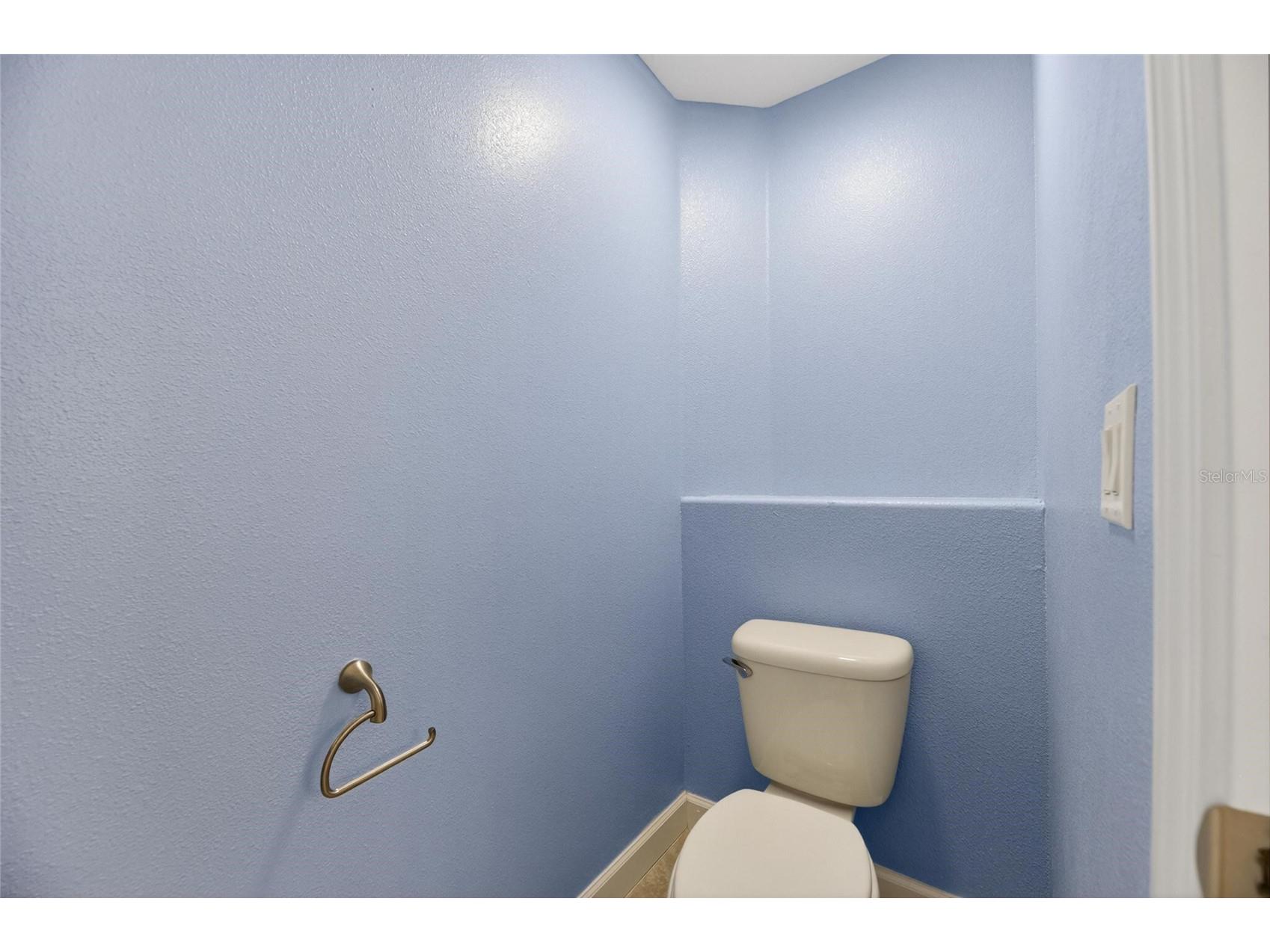 13168 Green Violet Drive Riverview FL 33579 TB8501467 image54